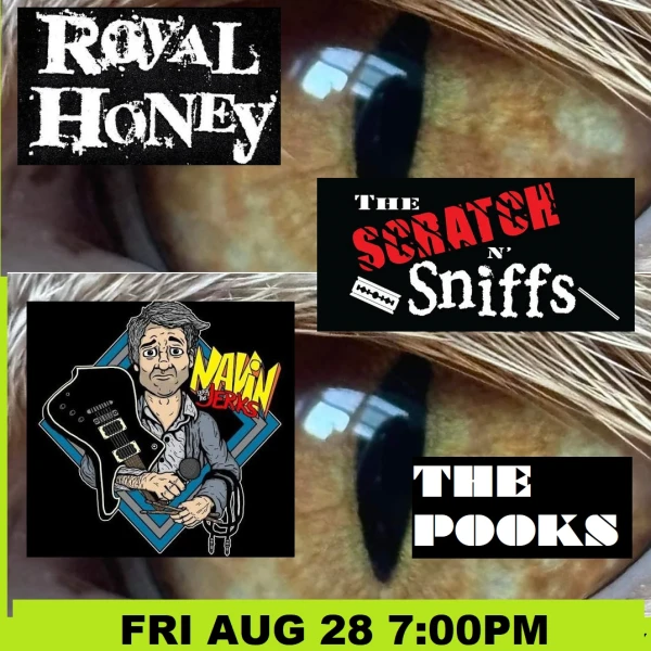 Royal Honey, The Scratch 'n' Sniffs, Navin and the Jerks, The Pooks