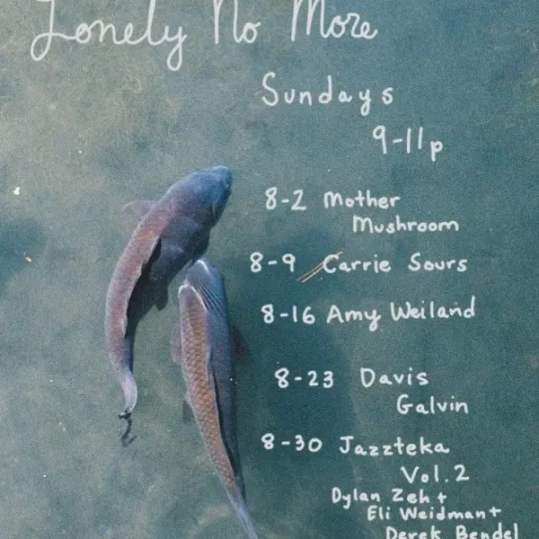 Lonely No More: Amy Weiland
