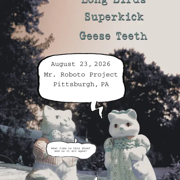 Long Birds / Superkick / Guillermo Guillotine / Geese Teeth