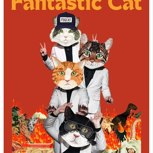 Fantastic Cat