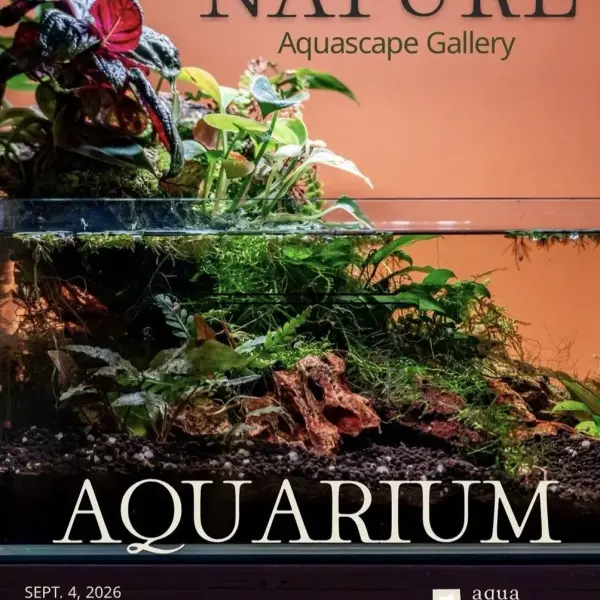 Aquarium