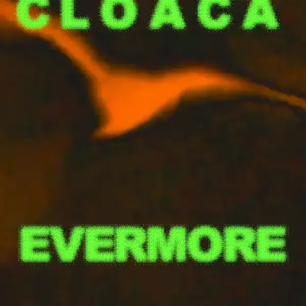 CLOACA - Evermore: One Hole Never More