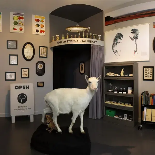 Center for PostNatural History