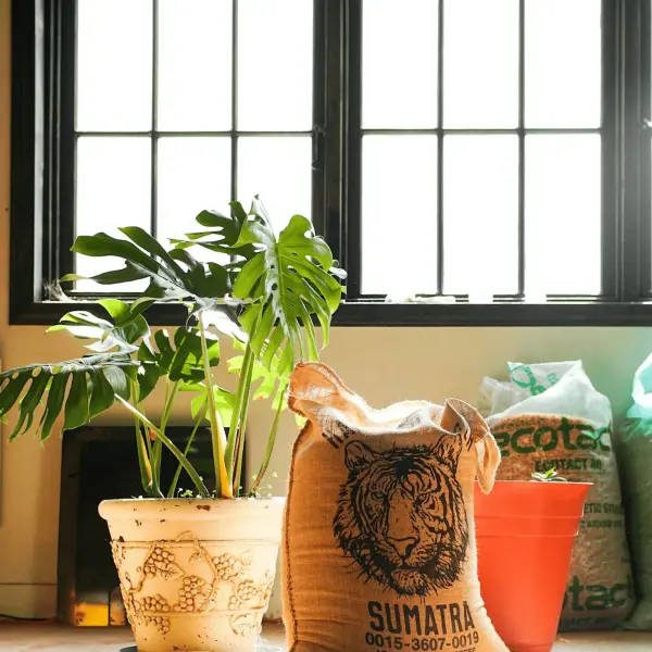 Open, Manage, Grow: A Coffeehouse Workshop